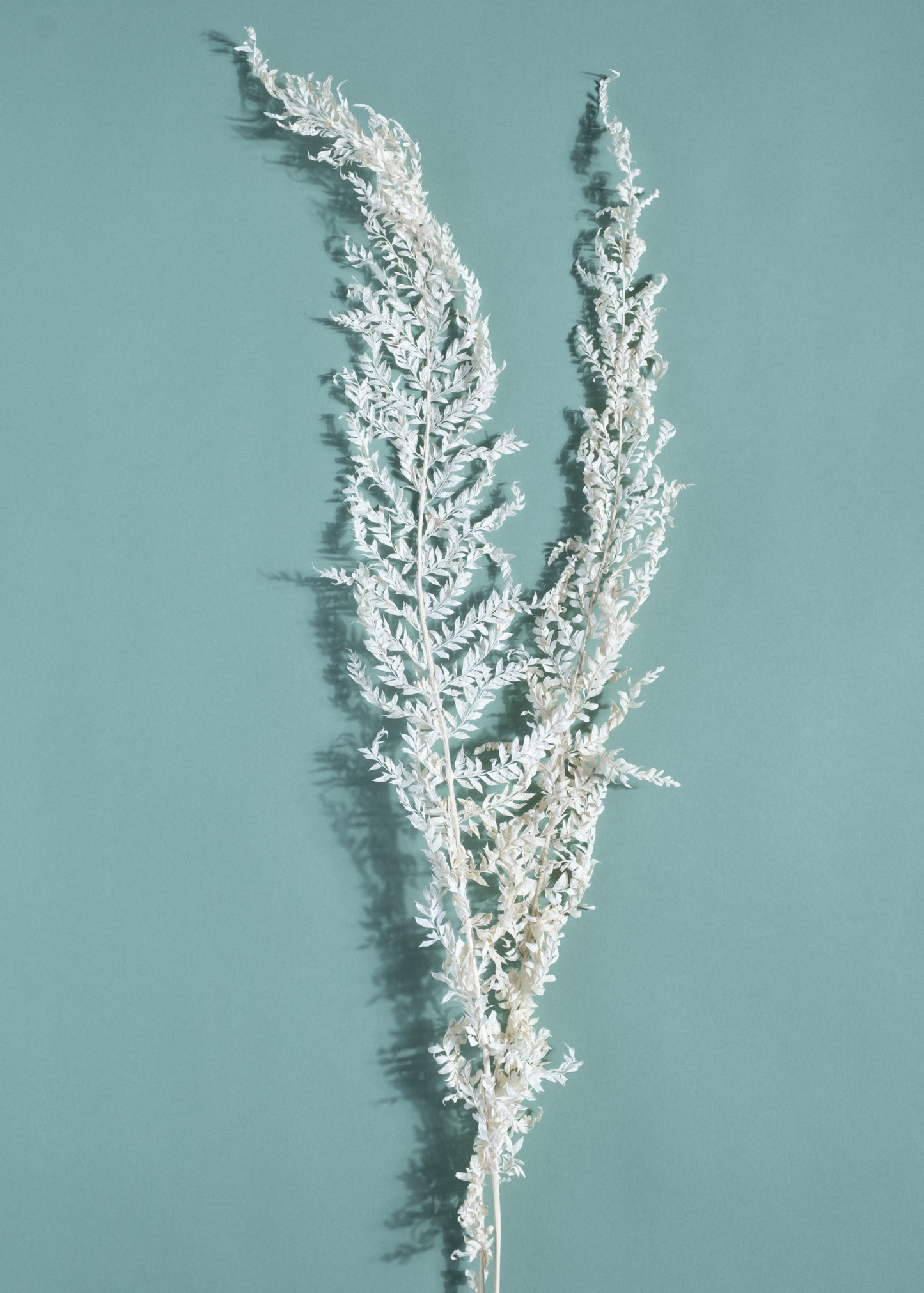 Fioré Snow Fern Grass Collection
