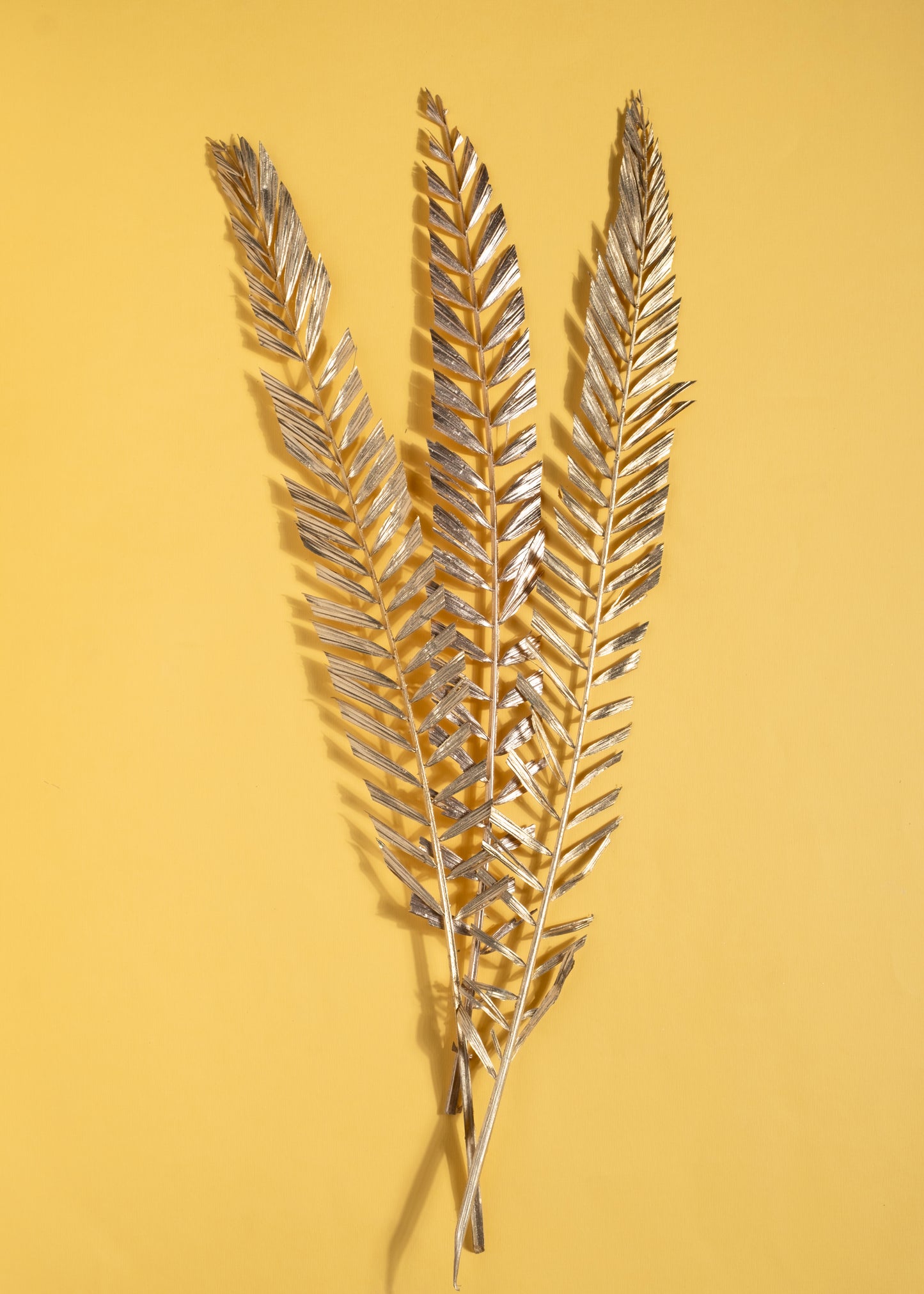 Auric Veil Gold-Washed Leaves (Set of 3 pcs)