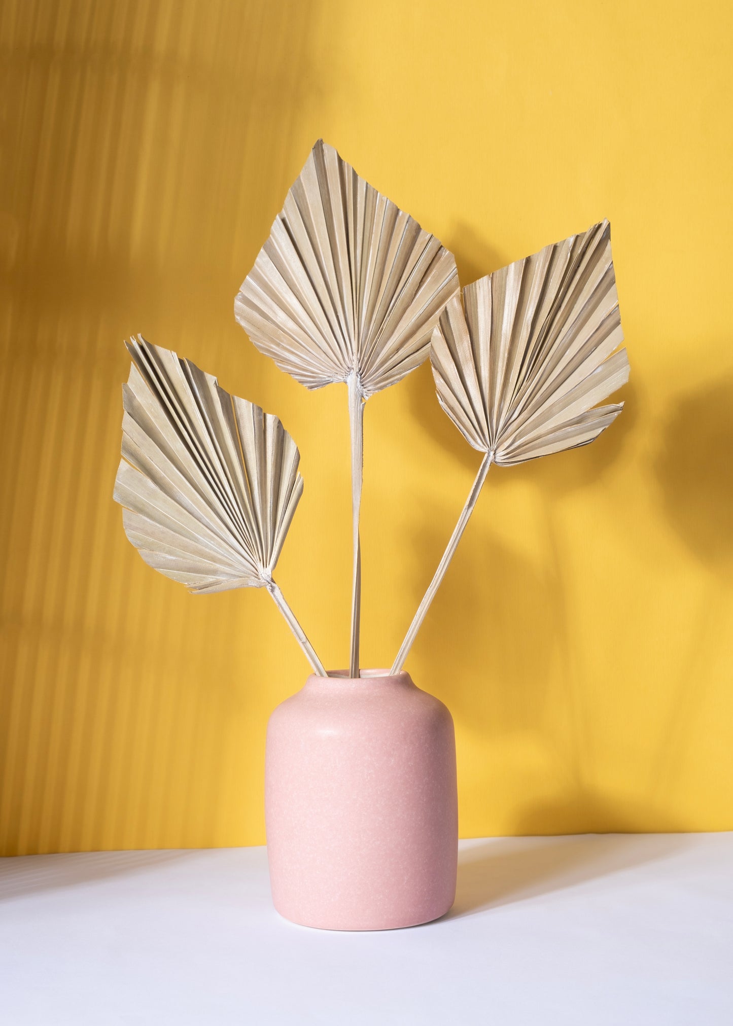 Palmier Blanche Spear Leaf