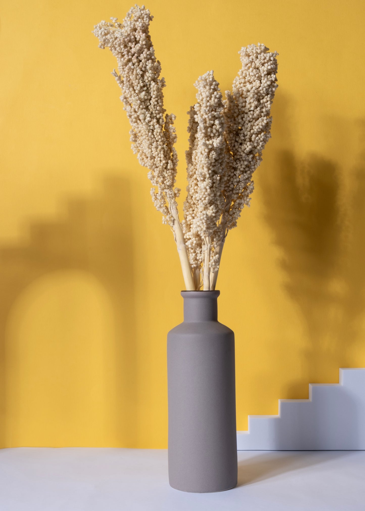Mais Bianca Corn Stems Set (Set of 5 Sticks)
