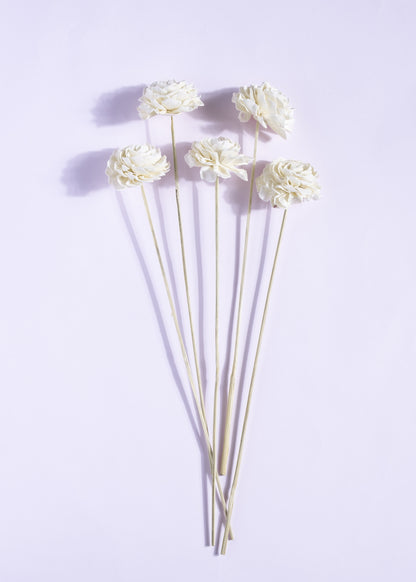Sola Bingo Bianca Bloom 8 cm On Stem