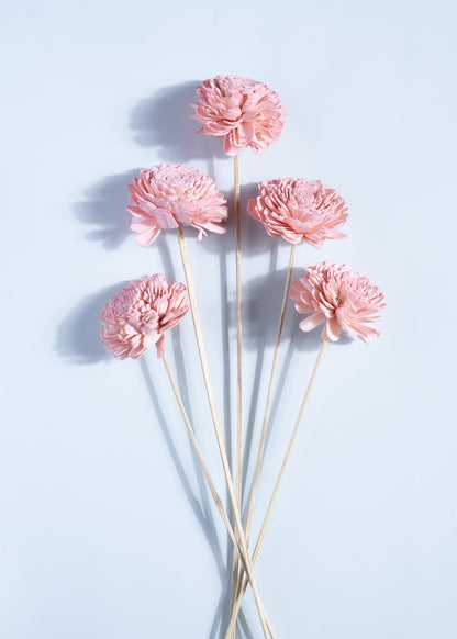 Solace Dune with Blush Petal Blooms