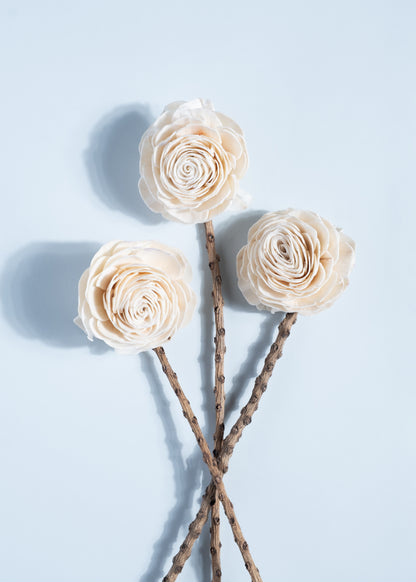 DIY Belle Rose Sola On Shanu Stem