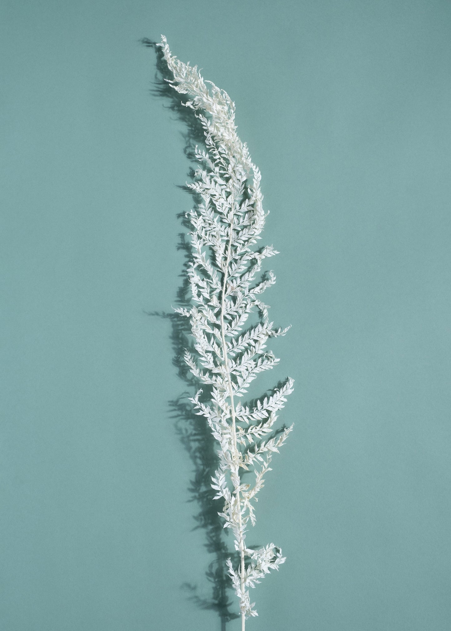 Fioré Snow Fern Grass Collection