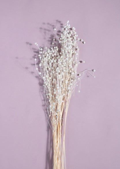 Lino Bianco Natural Grass (100 Grams Bunch)