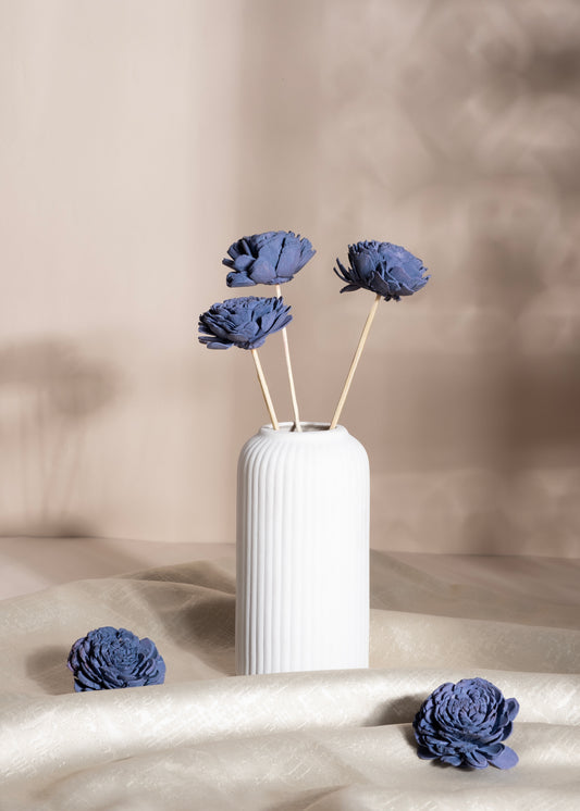 Lavande Bianco Sola Flower Sticks (10 Sticks)