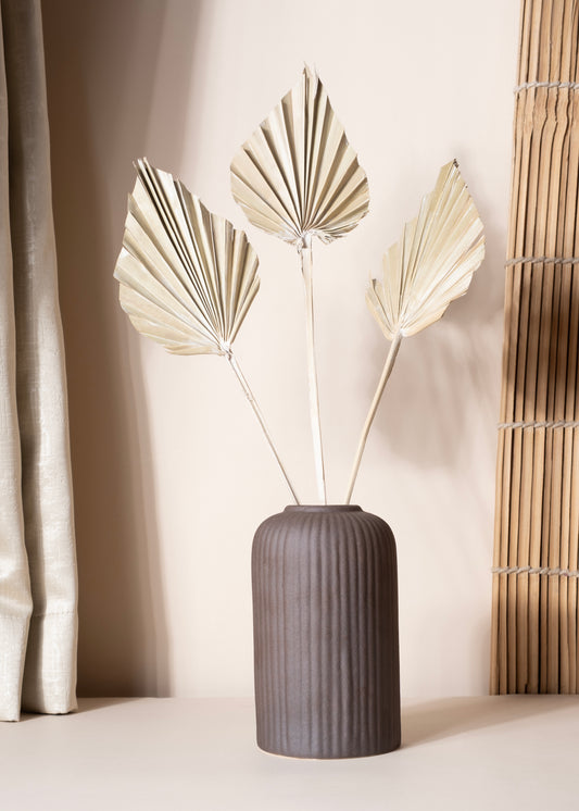 Palmier Blanche Spear Leaf