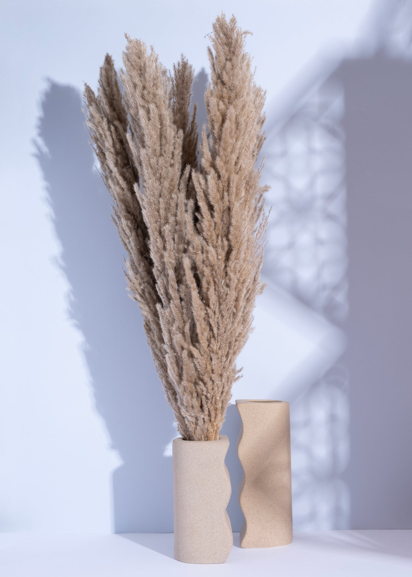 Luna Mist Pampas