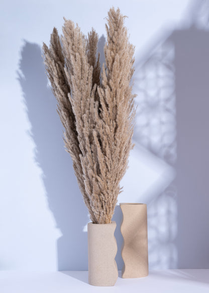 Luna Mist Pampas