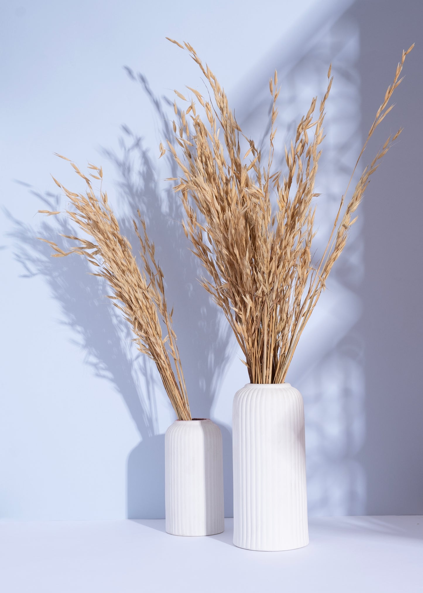 Linea Aura Set with Savanna Drift Grass