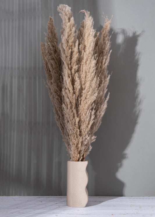Solace Dune with Luna Mist Pampas