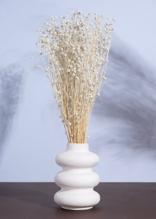 Lino Bianco Natural Grass (100 Grams Bunch)