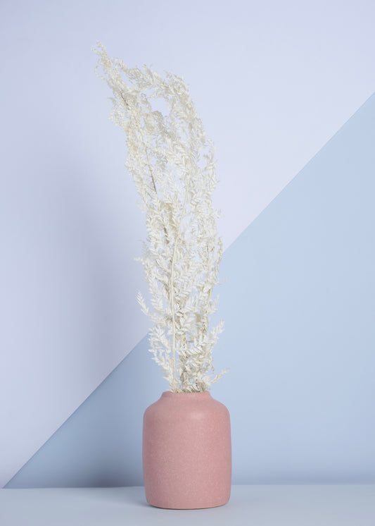 Fioré Snow Fern Grass Collection
