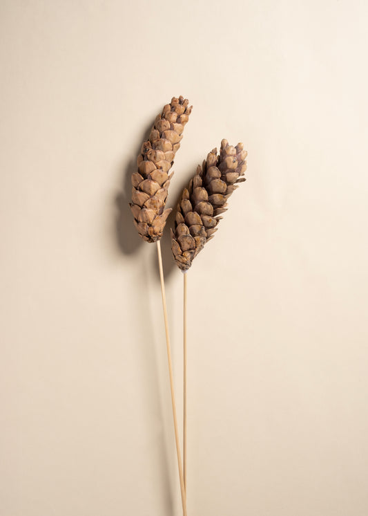 Forest Whisper Cone