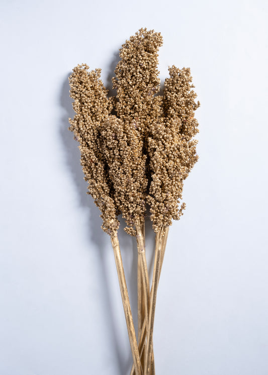 Earth Core Stems