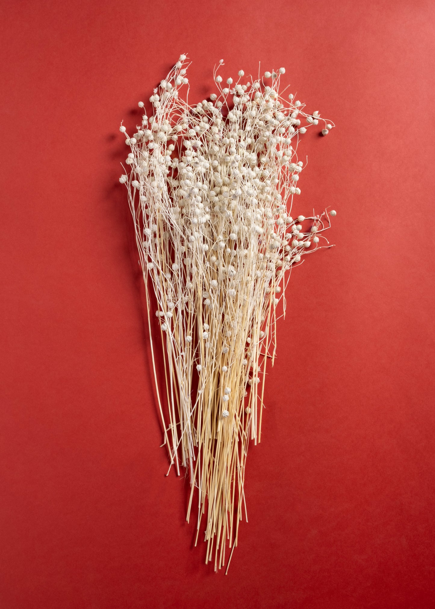 Lino Bianco Grass