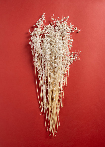 Lino Bianco Grass