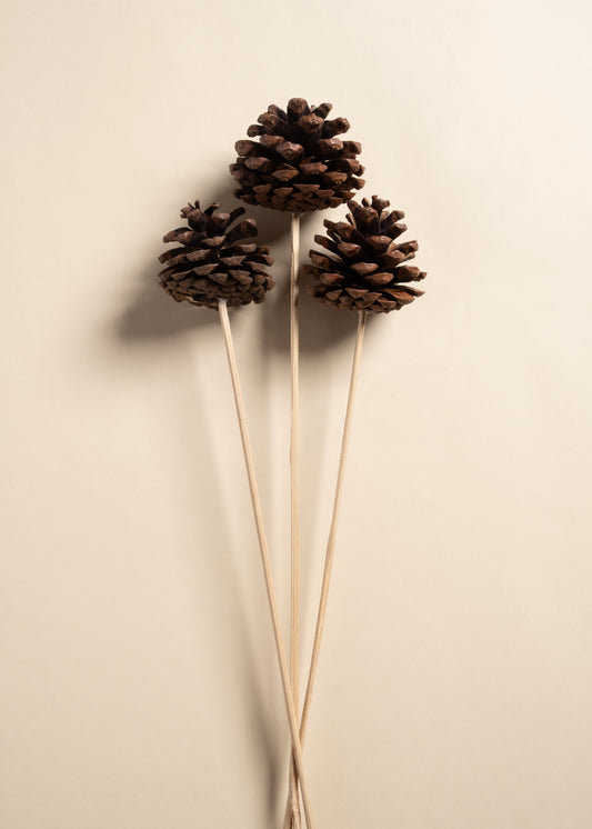 Forest Hearth Cones